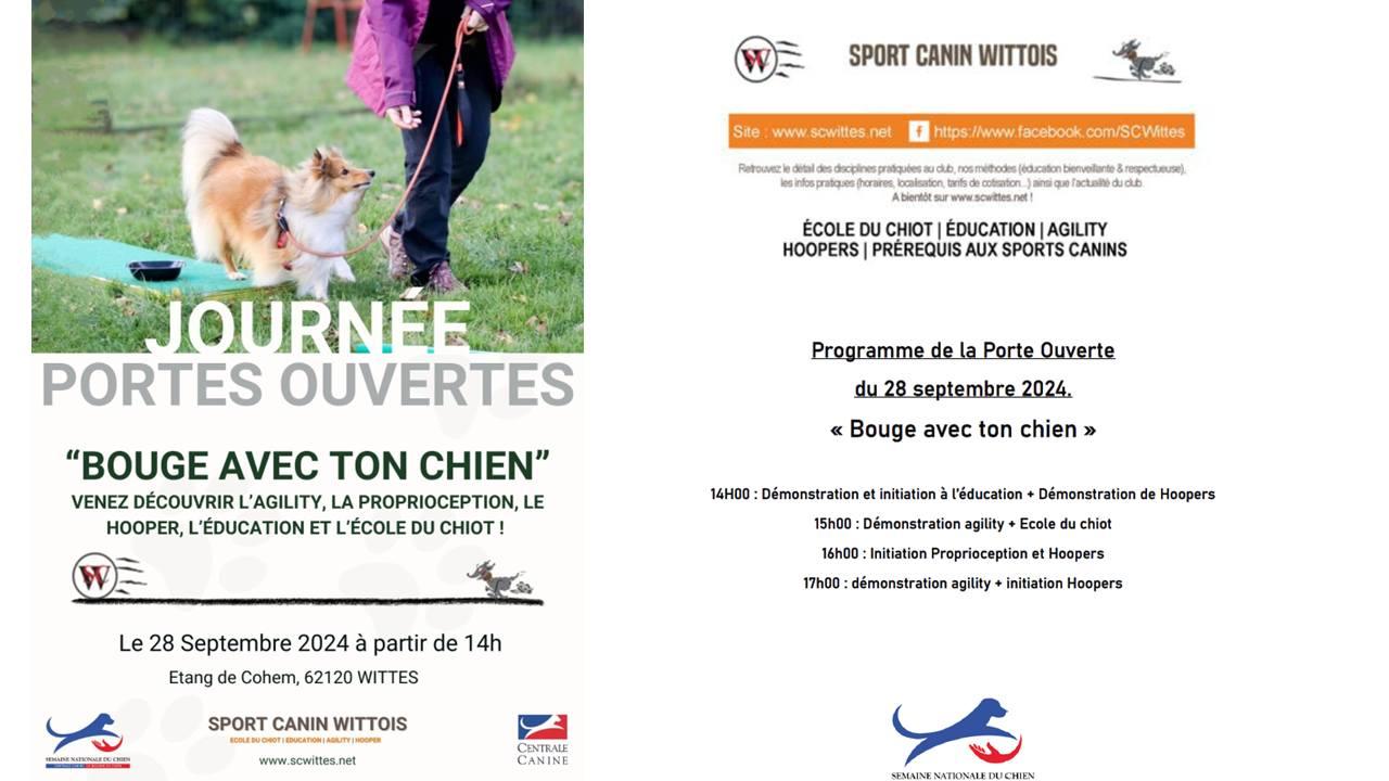 Bouge avec ton chien